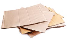 Cardboard
