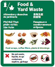 Click here to download - Collection Guidelines