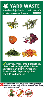 Click here to download - Collection Guidelines